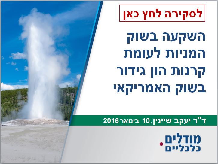 השקעה בשוק המניות לעומת קרנות הון גידור בשוק האמריקאי