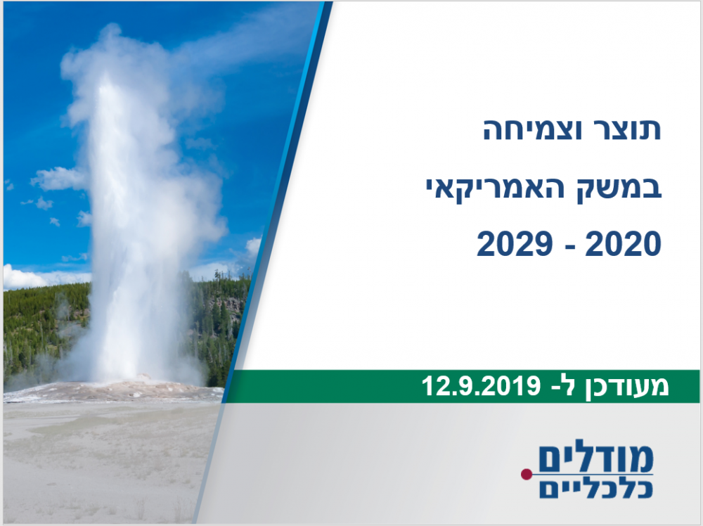 תוצר וצמיחה במשק האמריקאי- 2029-2020